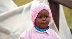 网页DDOS攻击平台